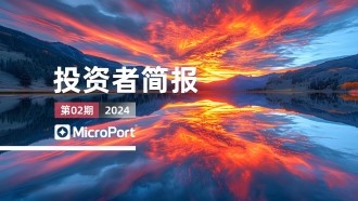 2024��Ͷ���߼򱨣�02�ڣ�