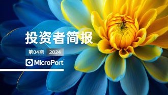  2024��Ͷ���߼򱨣�04�ڣ�