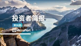  2024��Ͷ���߼򱨣�06�ڣ�