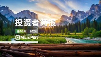  2024��Ͷ���߼򱨣�08�ڣ�