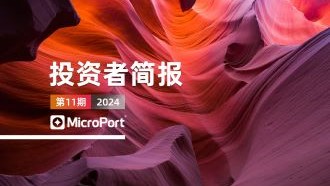 2024��Ͷ���߼򱨣�11�ڣ�