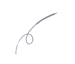 PTCA�������ŵ��ܣ�Non-Compliant��II��