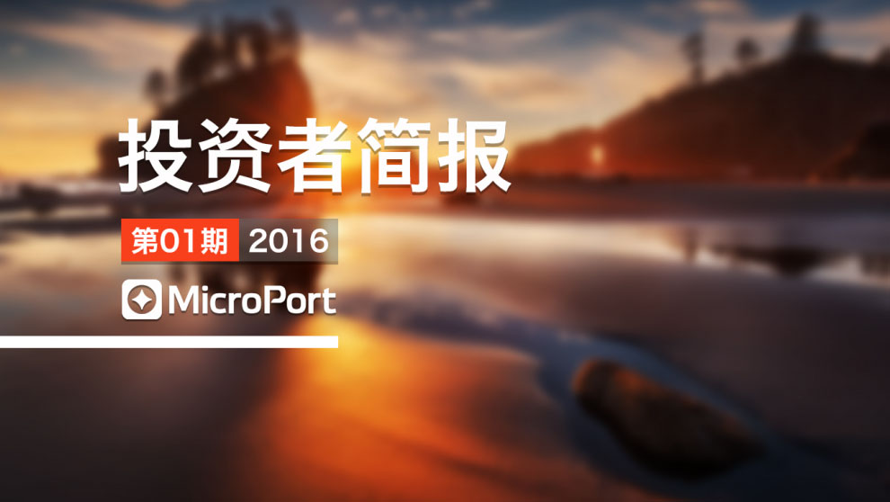 2016��Ͷ���߼򱨣���1�ڣ�