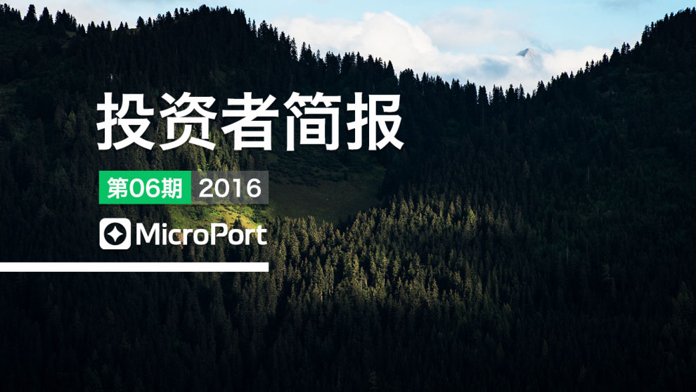 2016��Ͷ���߼򱨣���6�ڣ�